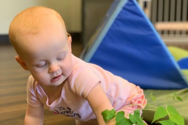 Infant_Plan_2 Infant crawling on the ground near a plant