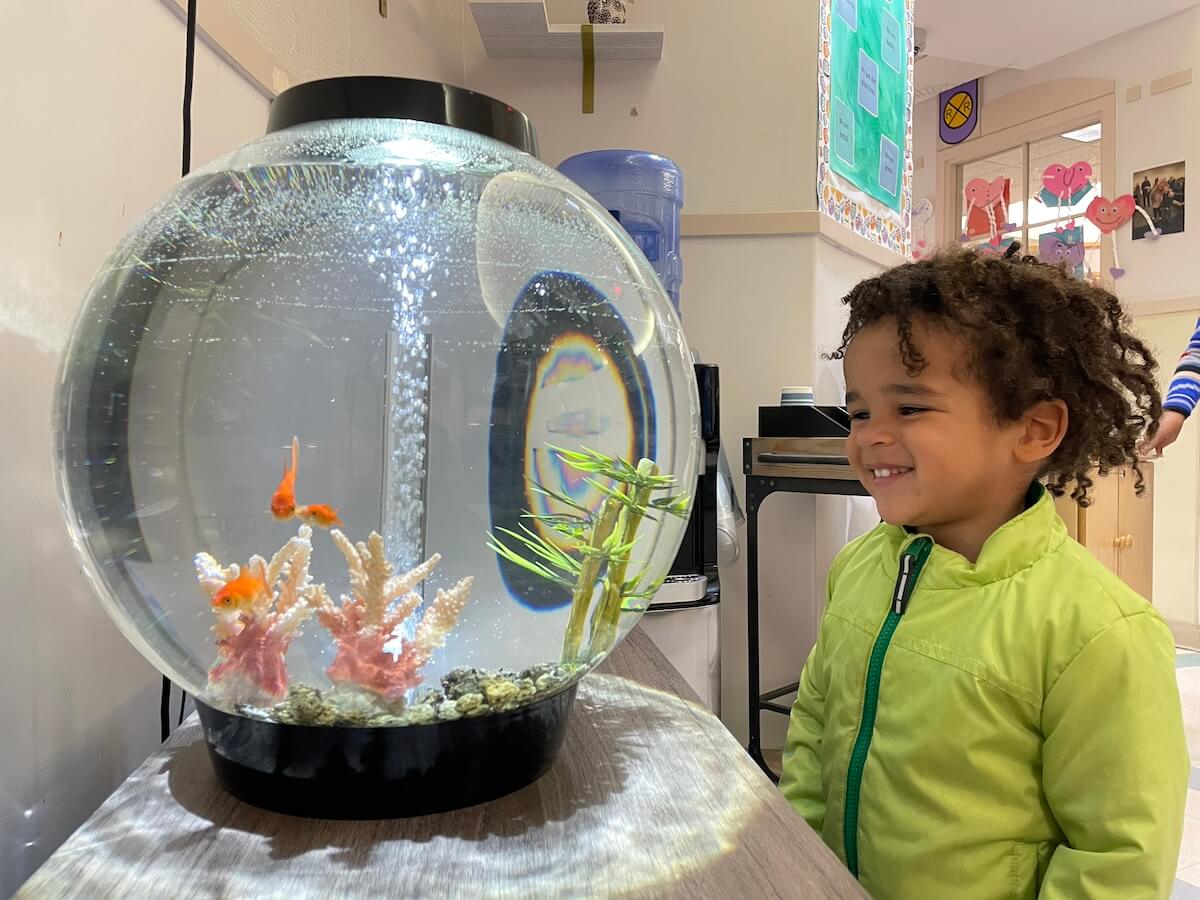 Threes_1 Young boy in a green jacket smiling while watching goldfish swim in a round aquarium in a preschool classroom.